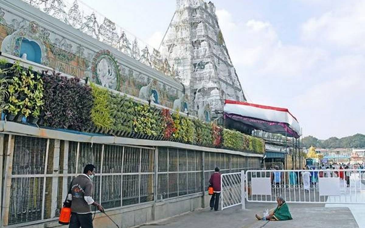 Curfew Effect | తిరుమలలో భారీగా తగ్గిన భక్తుల రద్దీ