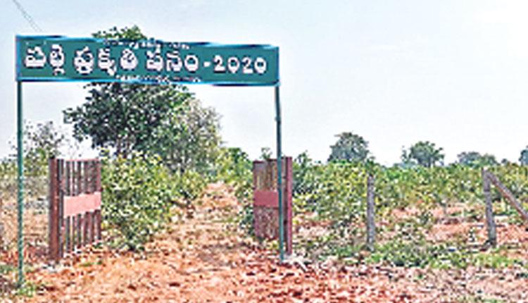 ‘ప్రగతి’కి ప్రత్యేకం