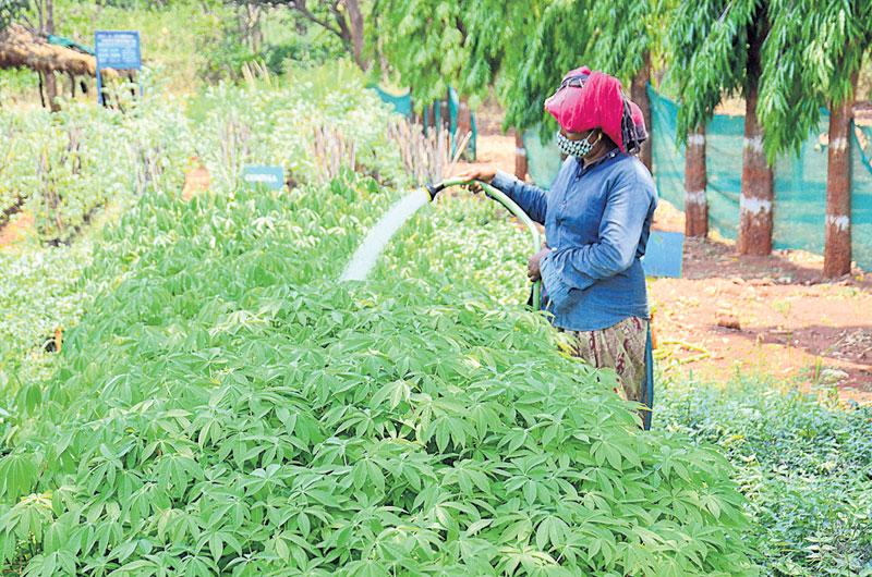 రోగులకు మెరుగైన వైద్యం అందించాలి