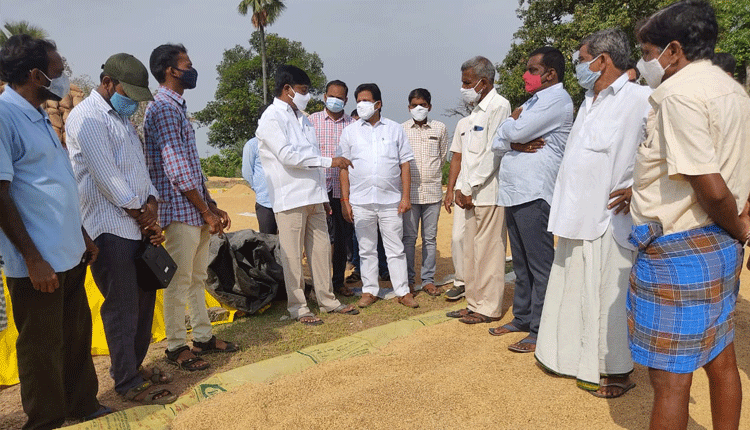 ధాన్యం కొనుగోలు కేంద్రాలను సందర్శించిన ఎమ్మెల్యే పెద్ది