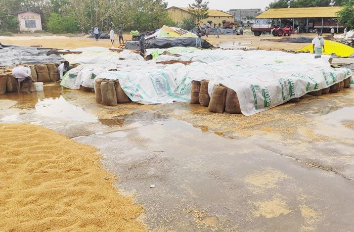 అకాల వర్షం.. అపార నష్టం