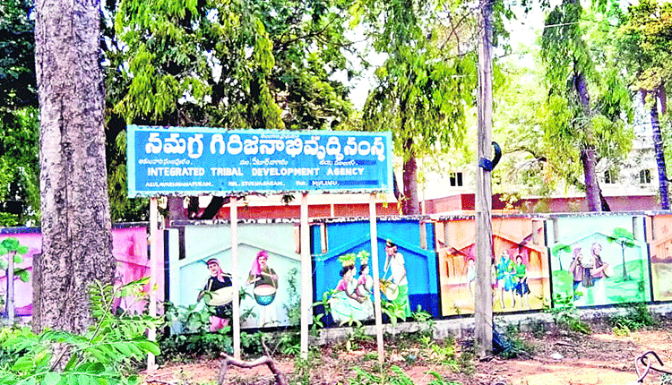 గిరిజనులకు భరోసా!