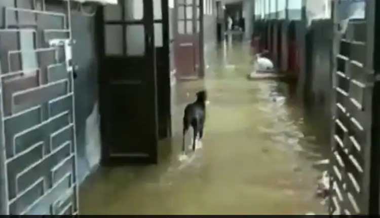 ఆస్ప‌త్రుల్లోకి భారీగా వ‌ర‌ద నీరు..!