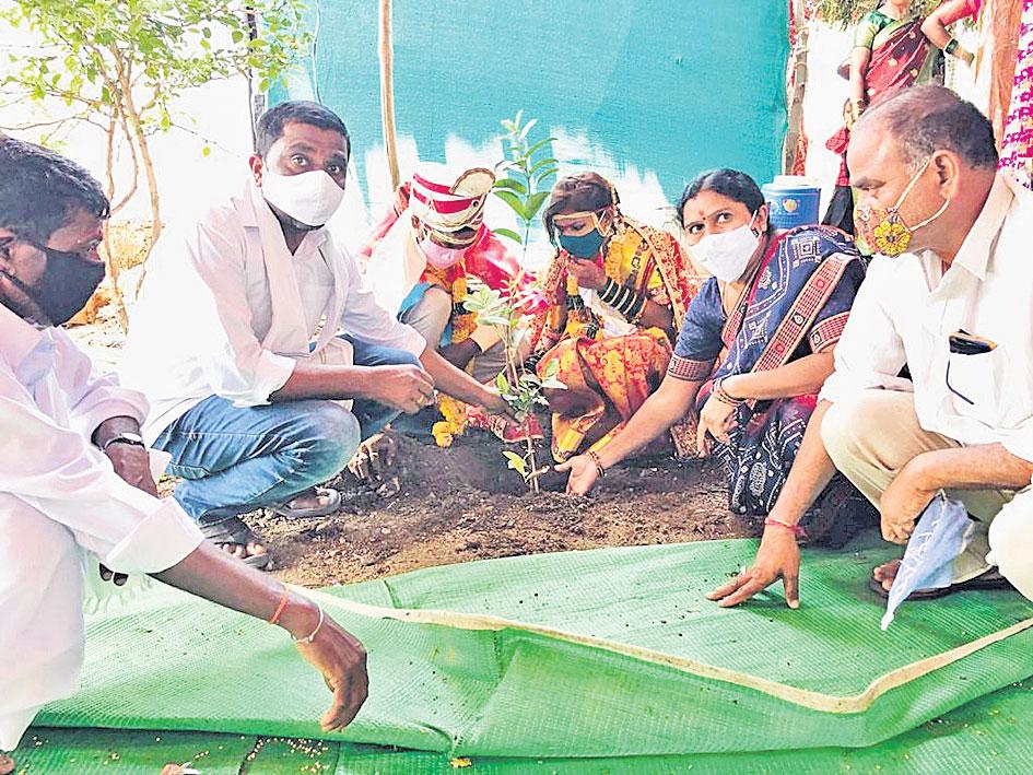 పెండ్లి వేడుక.. పుడమికి మొక్క కానుక