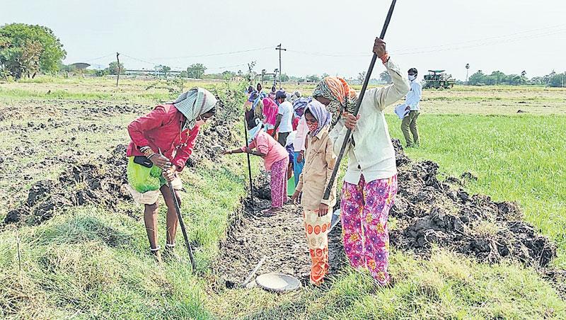 ఉపాధి పనులతో ‘పంట కాలువలు’