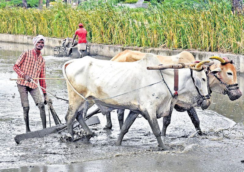 పంటల రుణ పరిమితి పెంపు