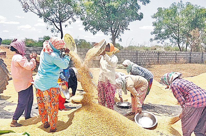 కొనుగోళ్ల జాతర