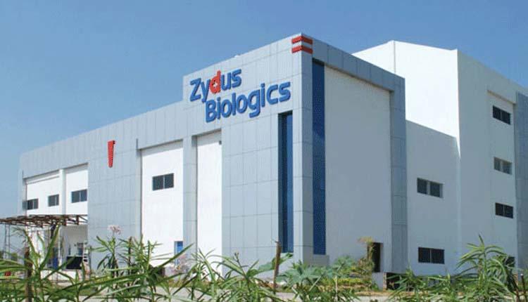 యాంటీబాడీ కాక్‌టెయిల్‌ ట్రయల్స్‌కు జైడస్‌ దరఖాస్తు