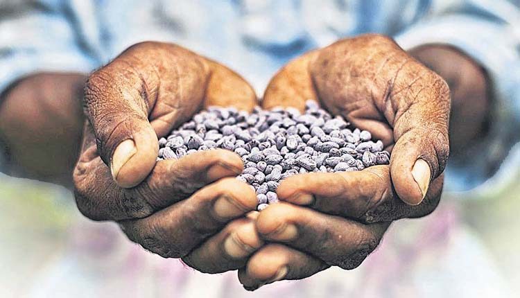 నకిలీ విత్తనాలపై నజర్‌