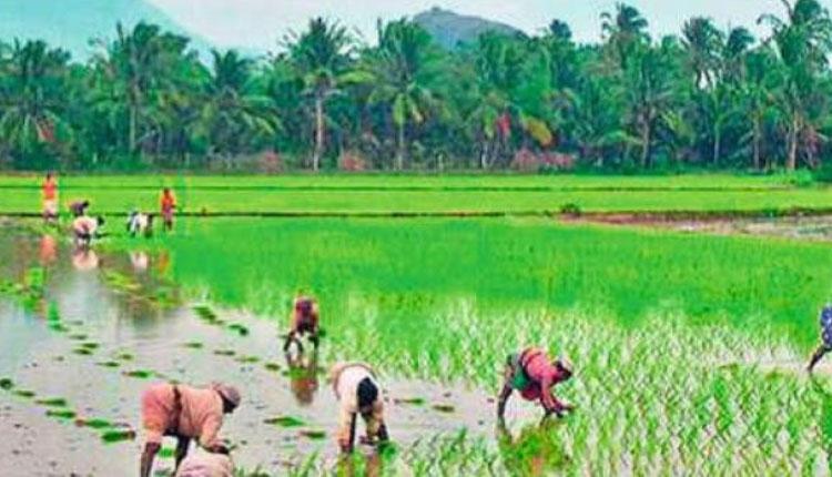 వ్య‌వ‌సాయ‌శాఖ‌లో రెండు అడిష‌న‌ల్ డైరెక్ట‌ర్ పోస్టుల మంజూరు