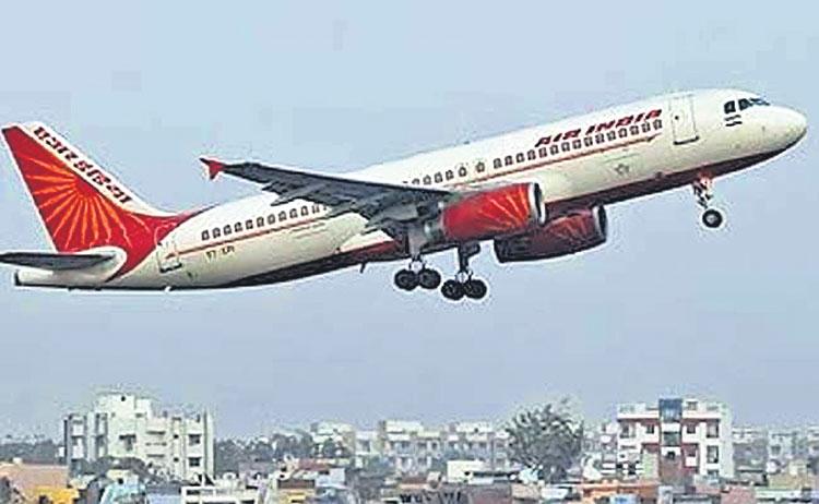 విమానంలో గబ్బిలం.. అత్యవసర ల్యాండింగ్‌