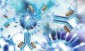 కొవిడ్‌ చికిత్సకు యాంటీబాడీ కాక్‌టైల్‌