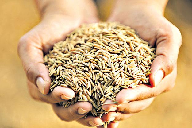 వెదజల్లే పద్ధతిని ప్రోత్సహించాలె