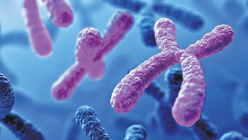 వ్యాధి నిరోధక శక్తిని పెంపొందించే కణాలు?