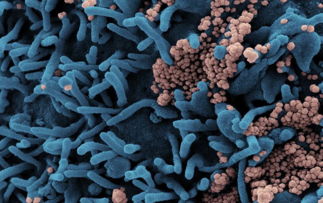 బ్లాక్ ఫంగస్ పై దృష్టి పెట్టిన భారత్..