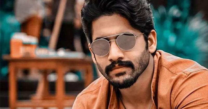ఈ ఏడాది మూడు సినిమాలతో సందడి చేయనున్న అక్కినేని హీరో