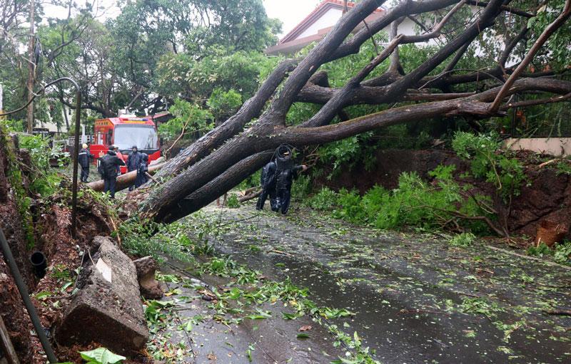 తౌటే విధ్వంసం