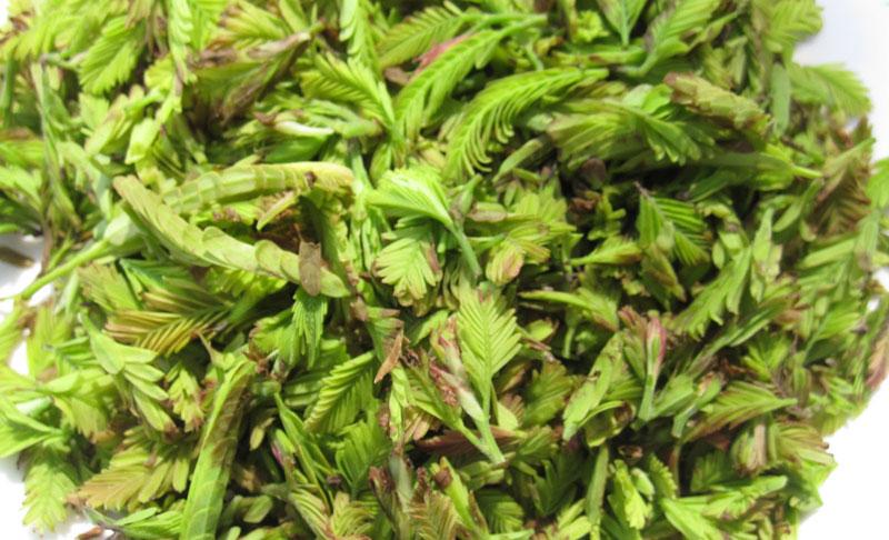 పళ్లెంలో పోషకాలు