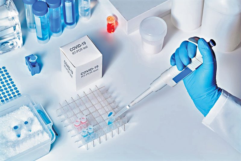 ఏమిటీ.. సీటీ వాల్యూ!