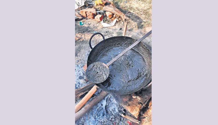 కరోనాకు కృష్ణపట్నంలో ఆయుర్వేద మందు