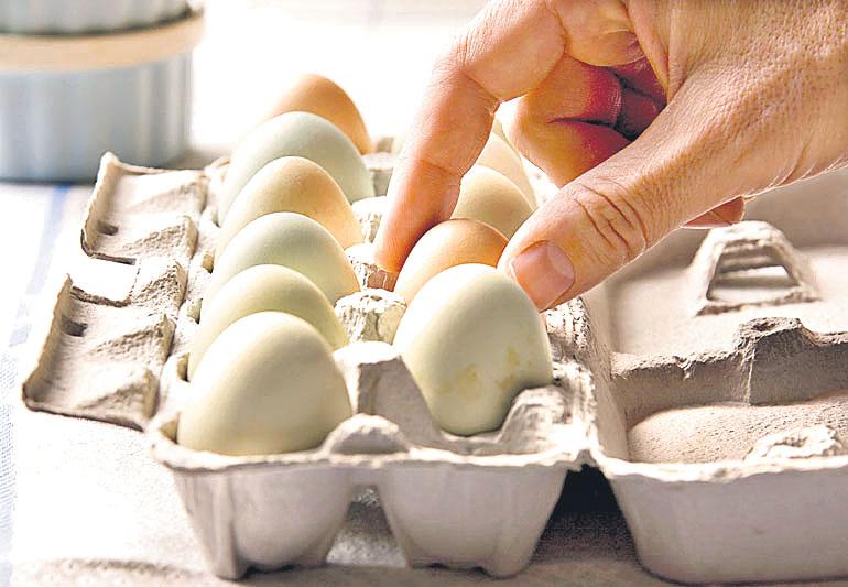 కొండెక్కిన కోడిగుడ్డు