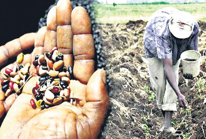 కల్తీ విత్తనాలపై  ఉక్కుపాదం