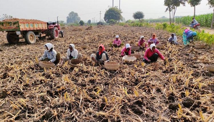 వ‌రి క‌న్నా వాణిజ్యం మిన్న‌