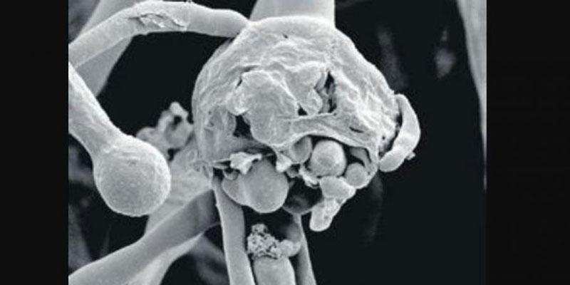 రంగుల పేర్లతో.. లేని భయాలు!