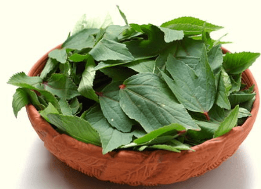 గోంగూరలో పోషకాలెన్నో…!