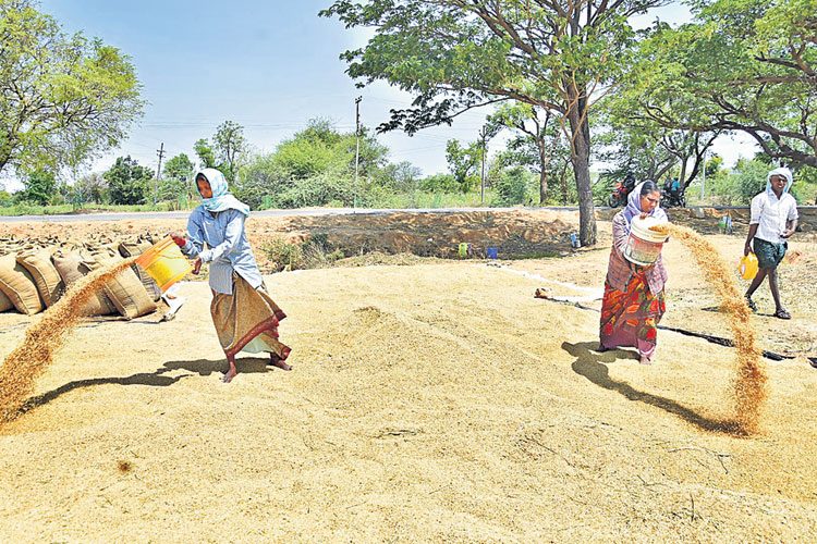 ధాన్యం కొనుగోళ్లు ఆగవు