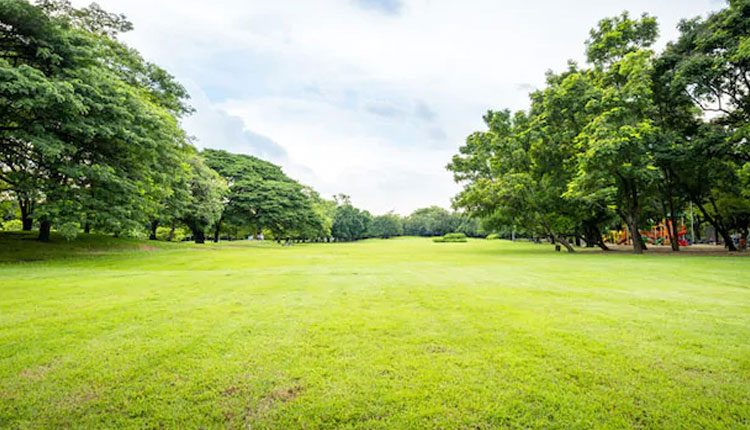 స్మోకింగ్, డ్రింకింగ్ మానేయాలా..? రోజూ పచ్చదనంలో గడపండి..!