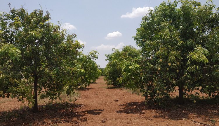 ఫామ్‌ టు హోం !