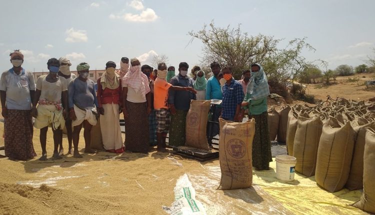 హమాలీల సమ్మెతో నిలిచిన ధాన్యం కొనుగోళ్లు