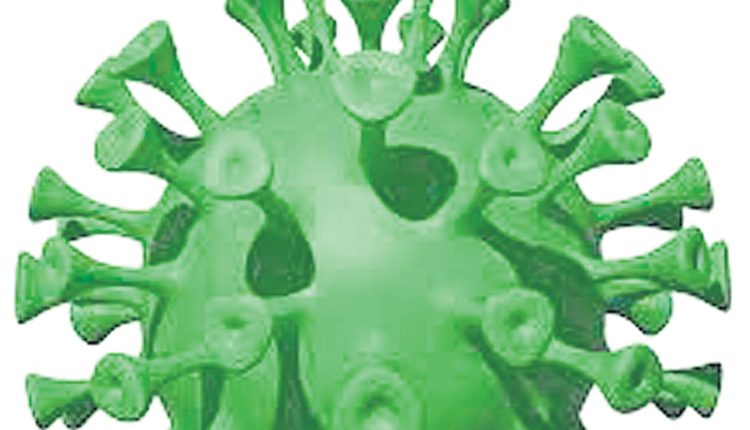 ఉమ్మడి జిల్లాలో 915 కొవిడ్‌ కేసులు