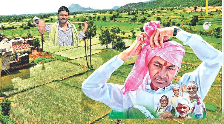 నాటి పచ్చని ప్రగతి స్వప్నం నేటి నిజం!