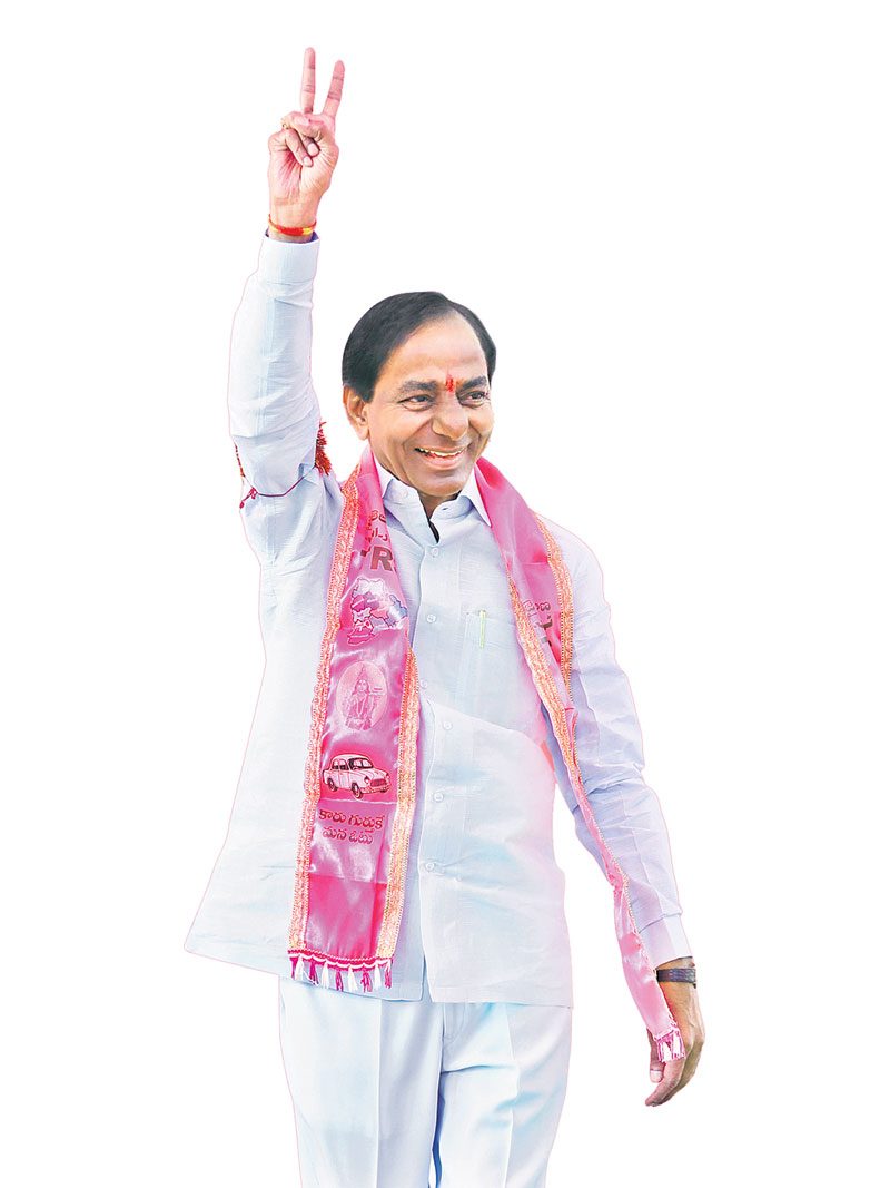 రాష్ట్రమంతటా గులాబీ తోట