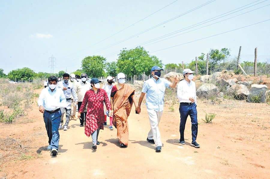 దేవర మాన్యంలో అక్రమ పుట్టలు!