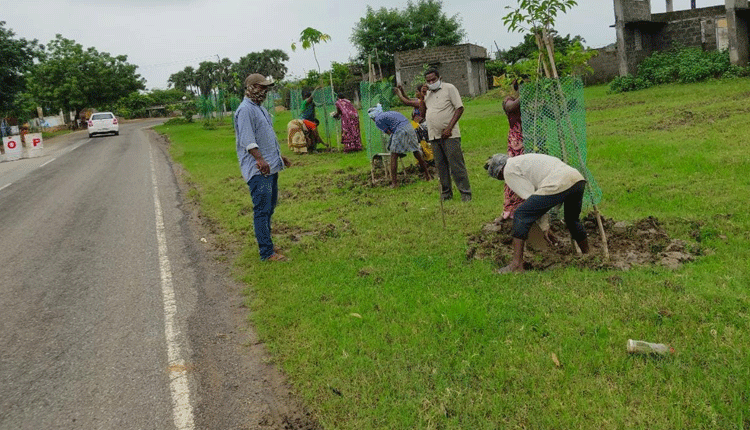 మల్లారం..శోభాయమానం