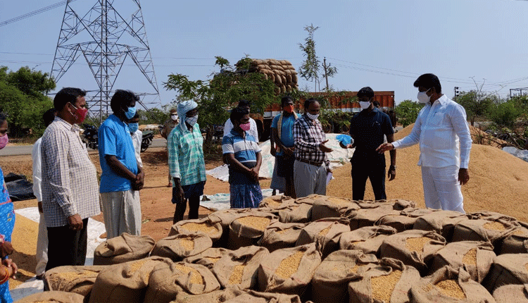 ప్రతి గింజ కొనుగోలు చేస్తాం : ఎమ్మెల్యే శంకర్ నాయక్
