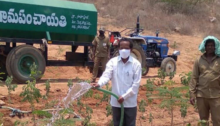 నాటిన ప్రతి మొక్కనూ సంరక్షిద్దాం