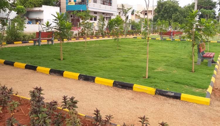 పట్టణమంతా ప్రకృతి వనాలు