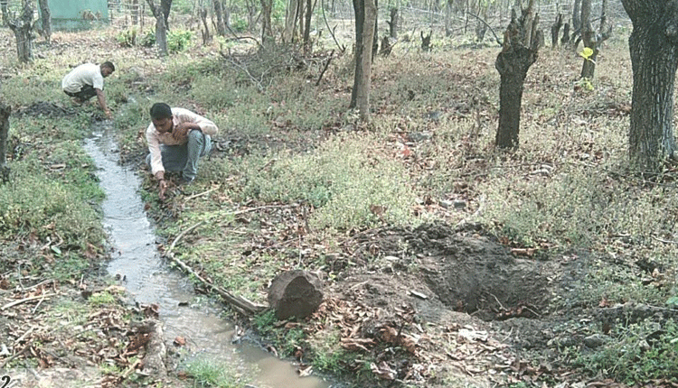 వేసవి కాలం.. జలం పుష్కలం
