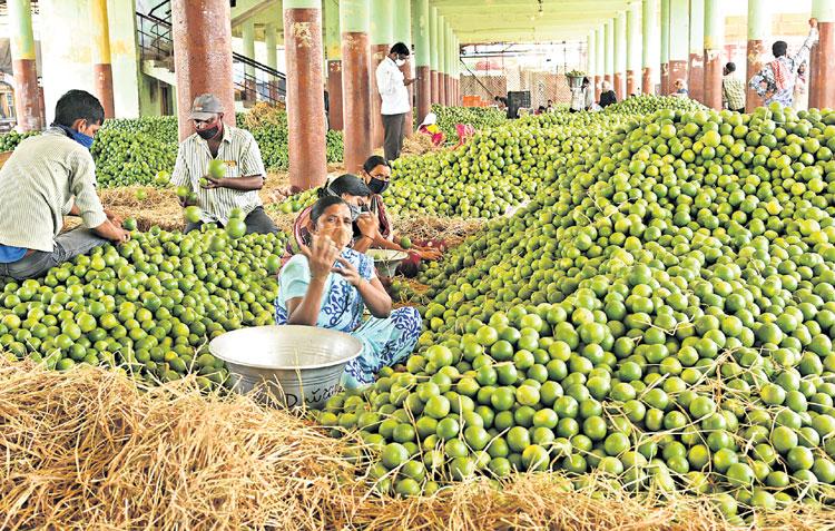 కరోనా వేళ.. బత్తాయి భళా!