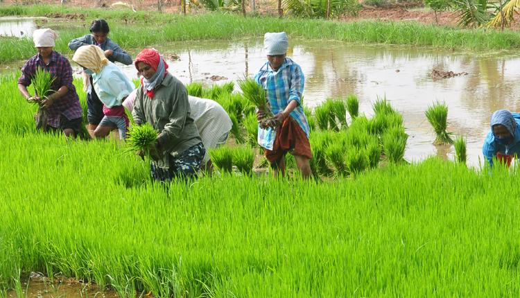 అదనులో ఆత్మ‘బంధువై’