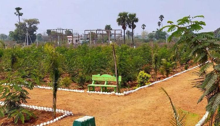 జంగిలికొండలో ప్రగతి జెండా..