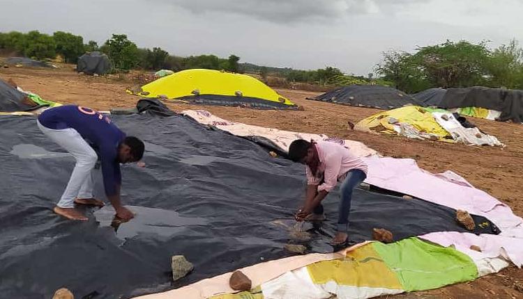 ధాన్యం నేలపాలు..