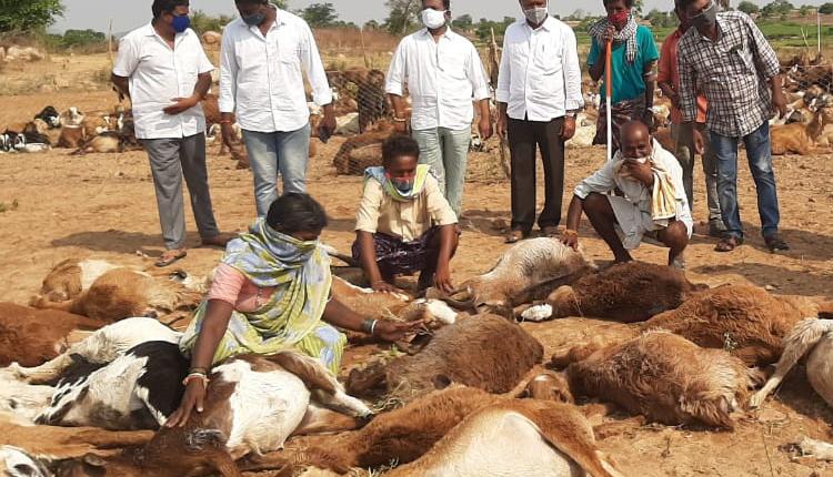 మూగజీవాలపై పిడుగు