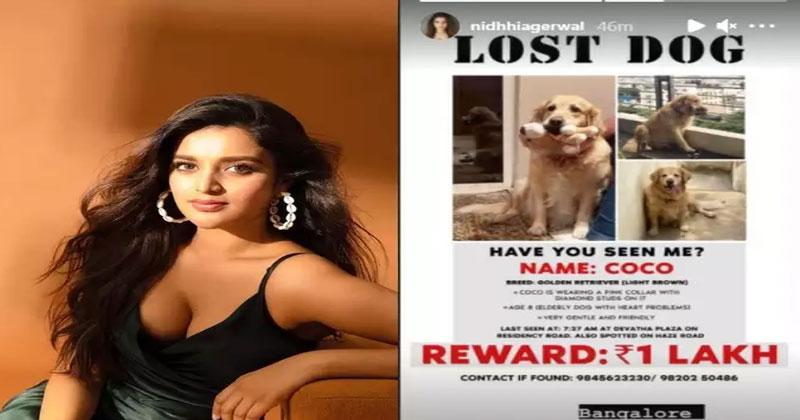 కుక్క‌ని ప‌ట్టిస్తే ల‌క్ష రూపాయ‌ల రివార్డ్..నిధి పోస్ట్ వైర‌ల్