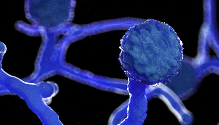 బ్లాక్ ఫంగస్‌తో బైంసాలో ఒకరి మృతి