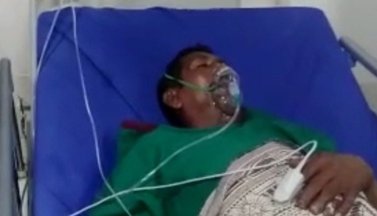 దూడ కోసం దాడులు..